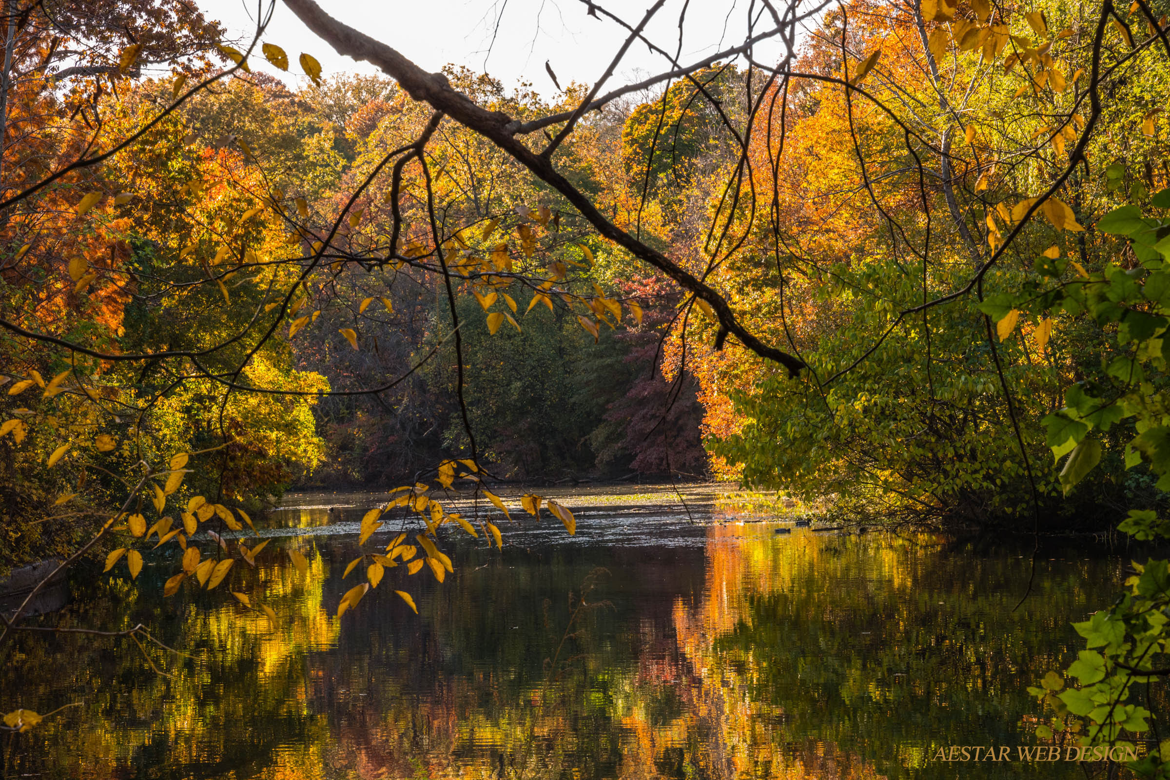 Web Photography, Landscape Photography, Fall in Prospect Park, Brooklyn, New York City