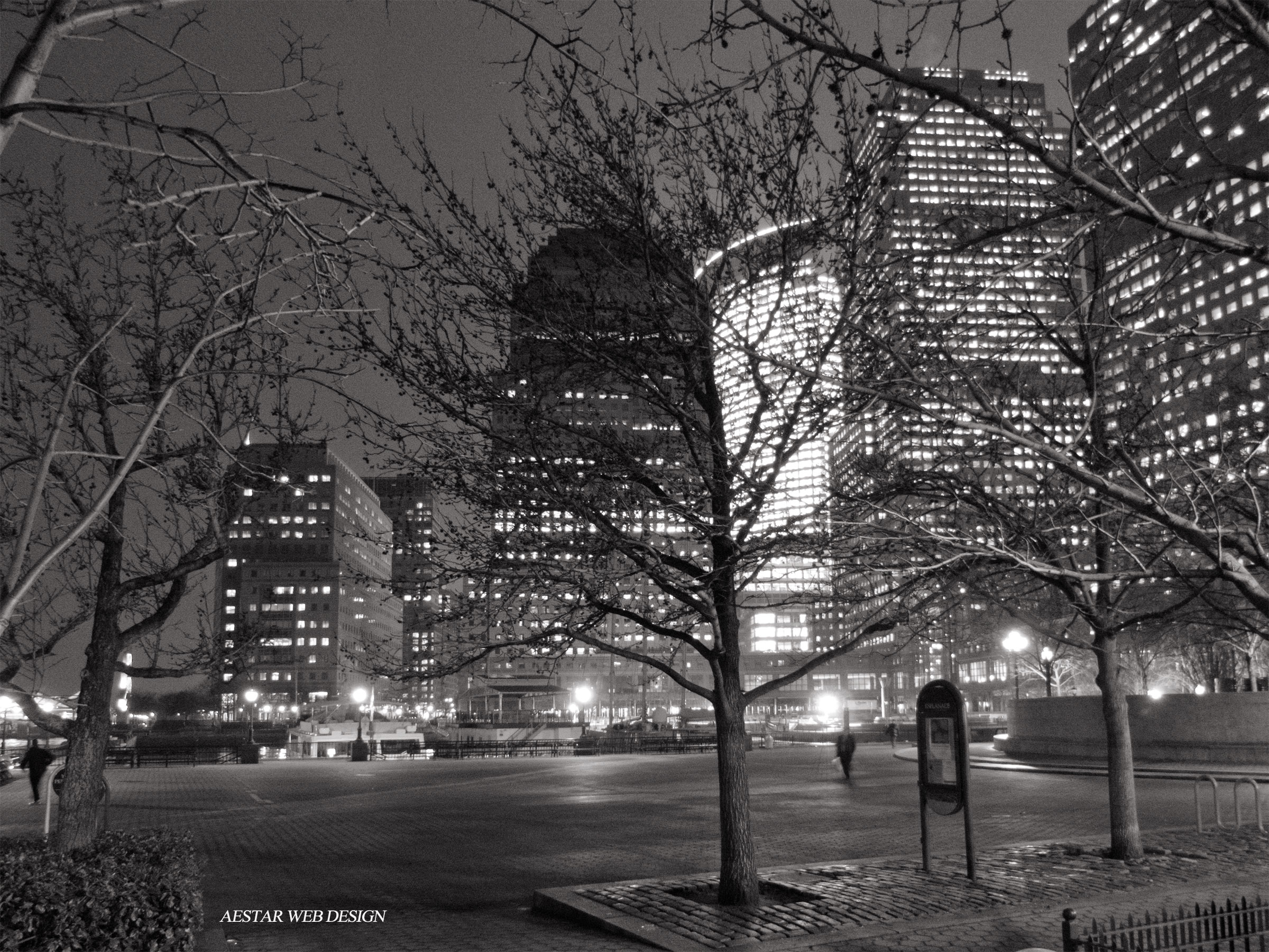 Web Photography, Landscape Photography, Architecture Photography, Street Photography, New York City, World Financial Center, Battery Park, Downtown Manhattan