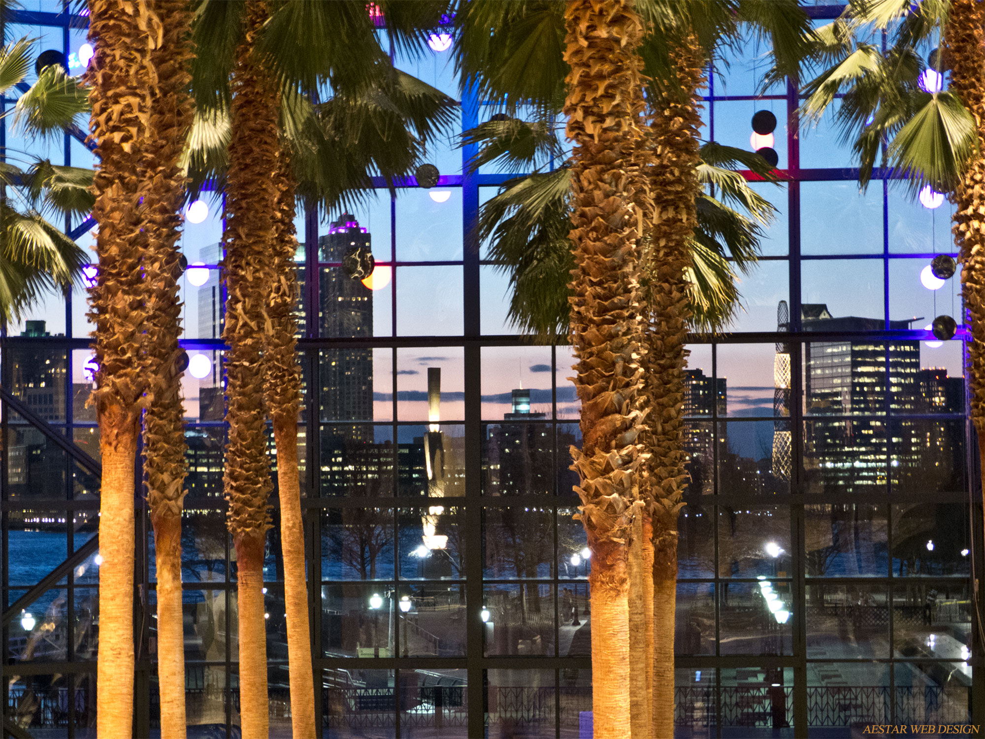 Website Design - New York City